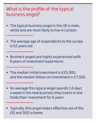 Table showing the profile of a typical business angel