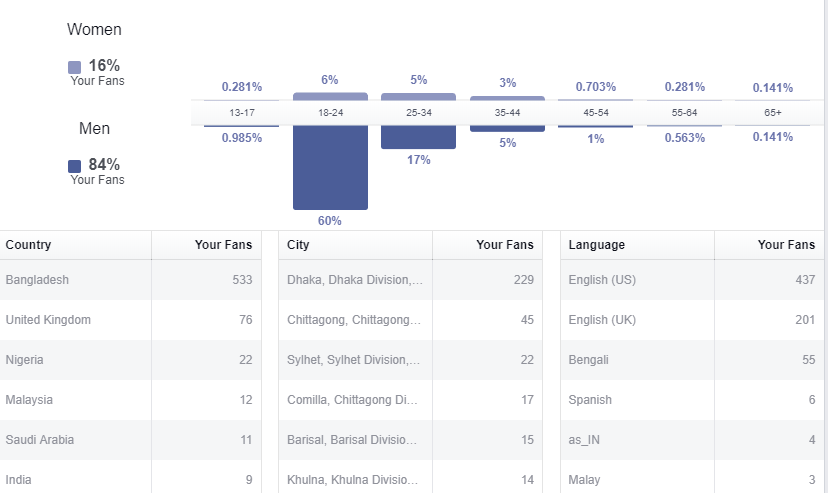 Screenshot Facebook Insights overview audience demographics